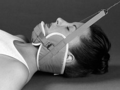 Head Halters