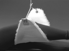 knee-sling
