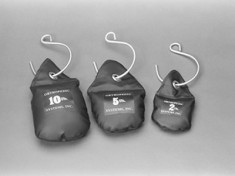 Traction Shot Weights and Weight Hanger